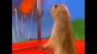dramatic chipmunk - Justin Beiber lol