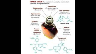 Episode 5: Sweet Talk with Dr. Seeram - Maple and Human Health Part I