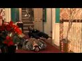 Home Alone Tarantula Scream 