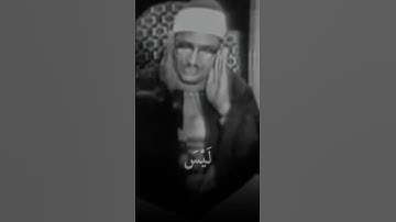 سورة الأنعام (الآية 51) - الشيخ / محمد صديق المنشاوي . #المنشاوي #قران_كريم #سورة_الانعام