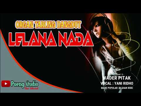 WADER PITAK  - ORGAN TARLING LELANA NADA