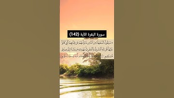سورة البقرة الآية (142) | القارئ الشيخ: سعد الغامدي