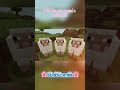 Only true Minecraft players can understand…#minecraft#relatable#shorts