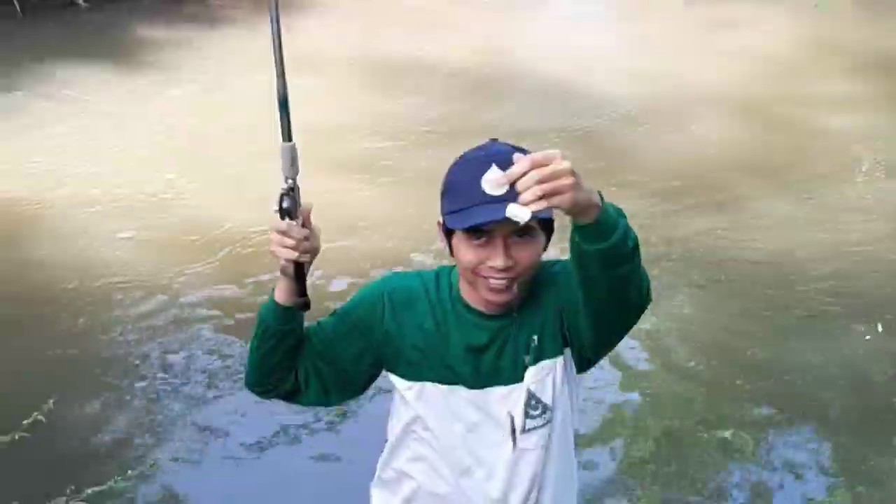 Mancing Ikan di Sungai Sebelah Persawahan yang Indah #mancing #strike #