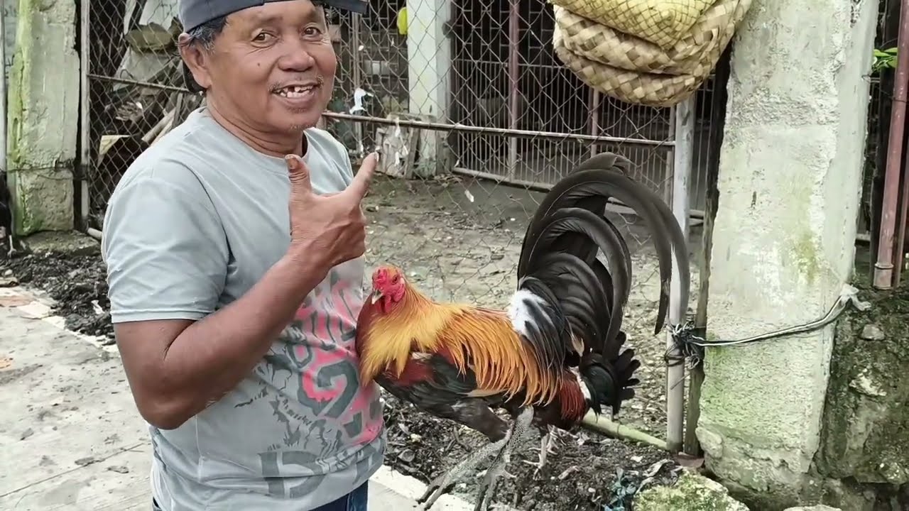 KALINGAWAN SA CONSOLACION CEBU MARCH 10,2026