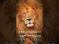 ١٥ يونيو ٢٠٢٥ ١٥ يونيو ٢٠٢٥