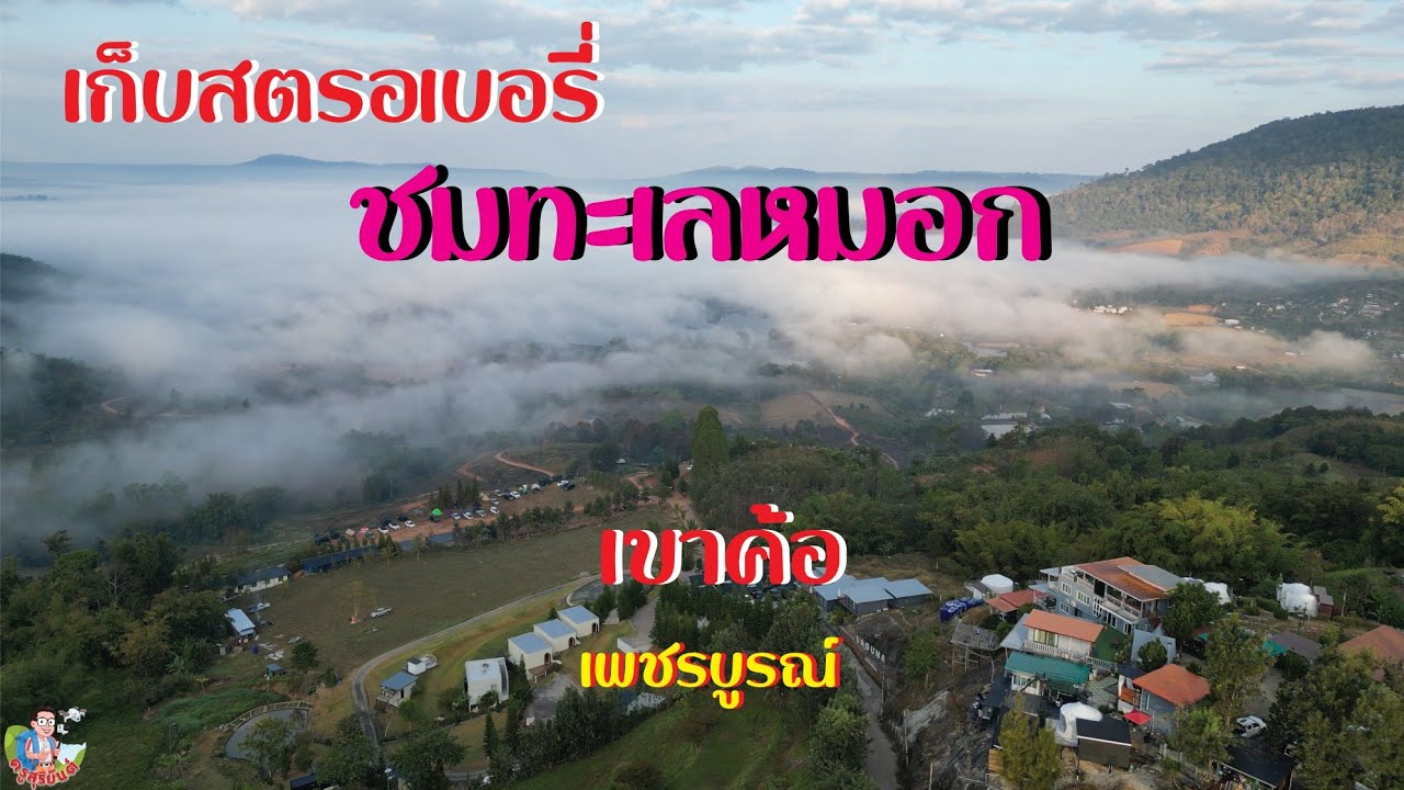 เก็บสตรอเบอรี่ ชมทะเลหมอก #เขาค้อ #เพชรบูรณ์