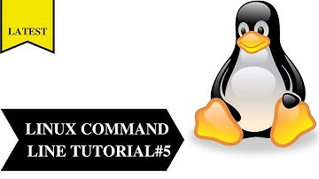 Linux Command Line Tutorial #5 2021 || head,tail,find,grep,locate command