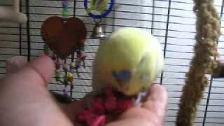 Joy Undukratisk Trekning.wmv