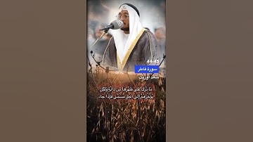 اخر سورة فاطر الاية 44-45