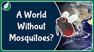 A World Without Mosquitoes?