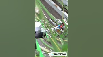 Craziest AI Harvesting Robots That Are Making Farms So Efficient