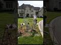 Woman Head Topiary Transformation | Satisfying Timelapse