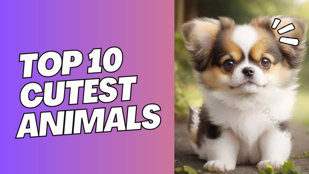 Top 10 Cutest Animals You Wouldn’t Believe Exist In 2025! - YouTube