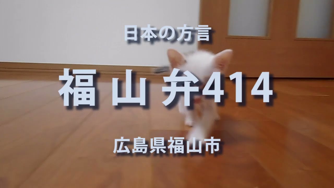 日本の方言集 広島県 備後地方 福山弁 広島県福山市 Youtube