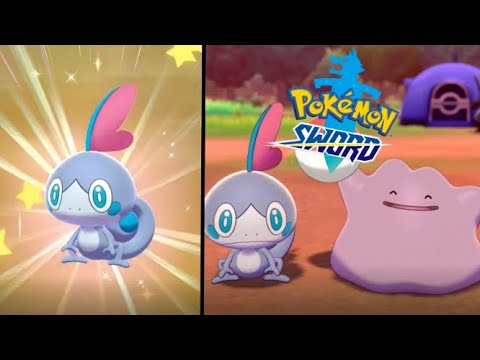 SHINY SOBBLE! (1054 Eggs) | LONGEST MASUDA HUNT SO FAR! | Pokemon Sword ...