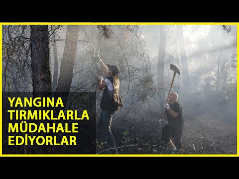 Ellerinde Tırmık ve Ağaç Dallarıyla Yangını Söndürmeye Çalışıyorlar