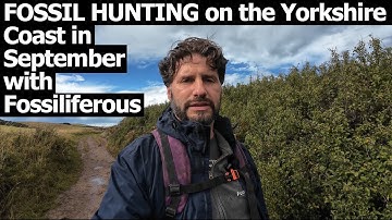 Fossil Hunting on the Yorkshire Coast | Jurassic Ammonites & More!