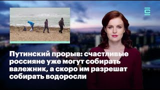 Кира Ярмыш (ФБК): Путинский прорыв  счастливые россияне уже могут собирать валежник, а скоро им ра