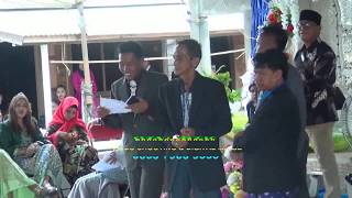 Download Lagu Shangrila   Adu Domba MP3