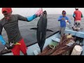 Pesca de atún con Trolling, bonita jornada