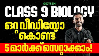 Cl 9 Biology Annual Exam 2026 - ഒററ വഡയ കണട5 മർകക സററകക Xylem Cl 9