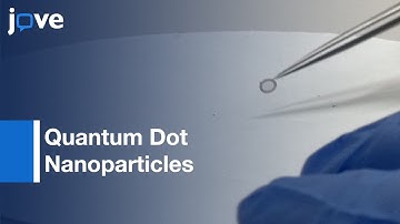 Correlative Light- & Electron Microscopy Using Quantum Dot Nanoparticles l Protocol Preview
