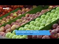 France Now Won't Let Its Grocery Stores Throw Away Unsold Food - Newsy