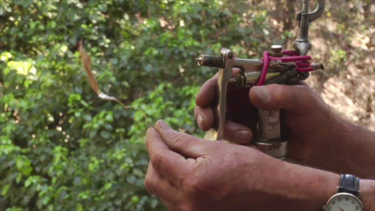 Orange RInd Oil 100% Concentration - Prune Like a Pro