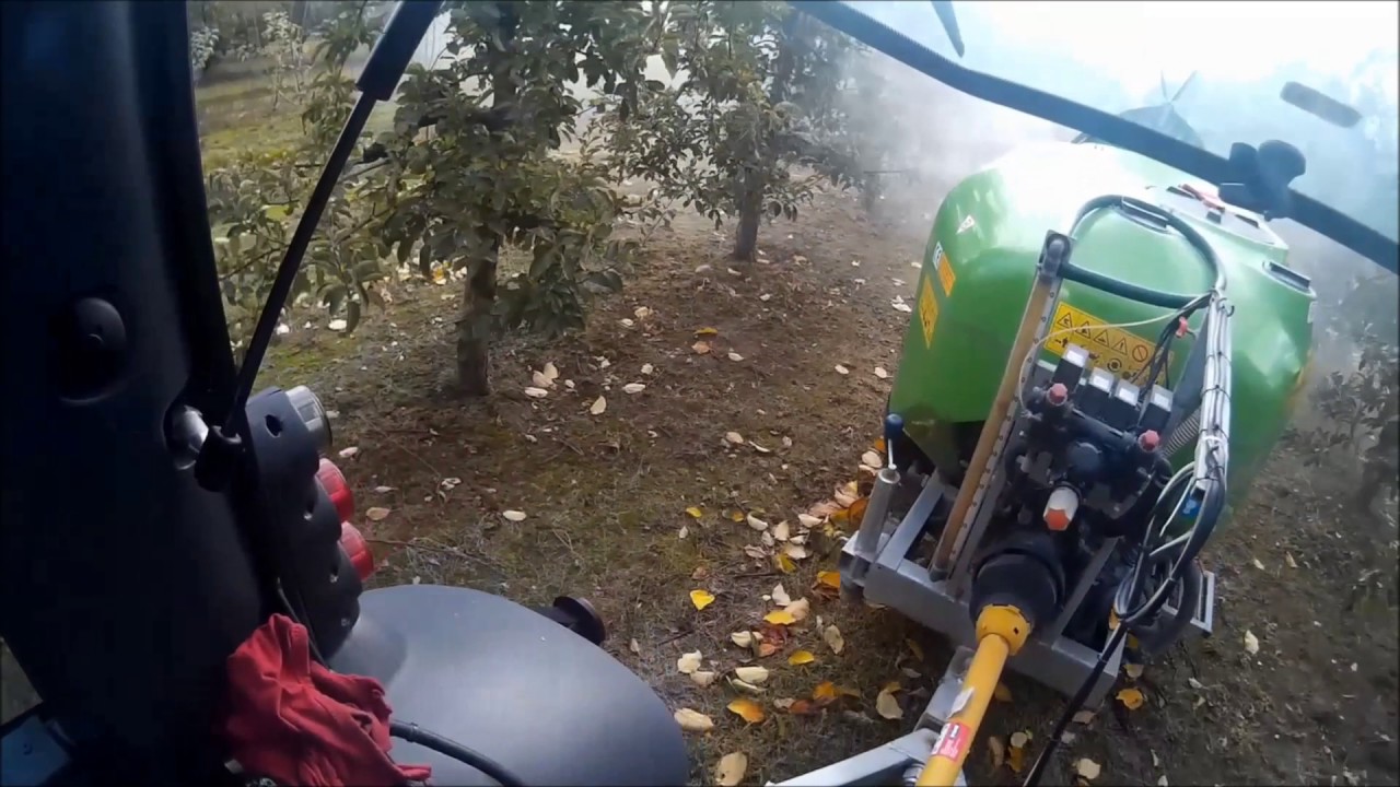 SJ na głowie #1 oprysk jesienią