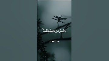 ربنا إننا سمعنا مناديا ينادي للإيمان || عبد الباسط عبد الصمد || سورة آل عمران