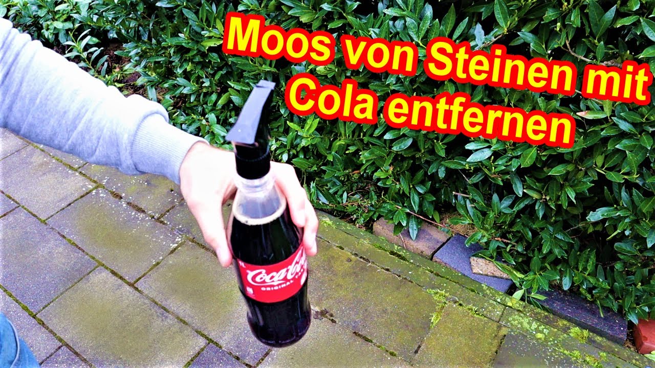 Moos von Steinen mit Cola entfernen Moosentferner aus Cola für
