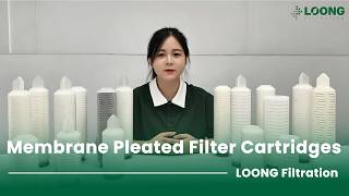 Membrane Pleated Filter Cartridges: PES, PTFE, PVDF & PP-LOONG Filtration