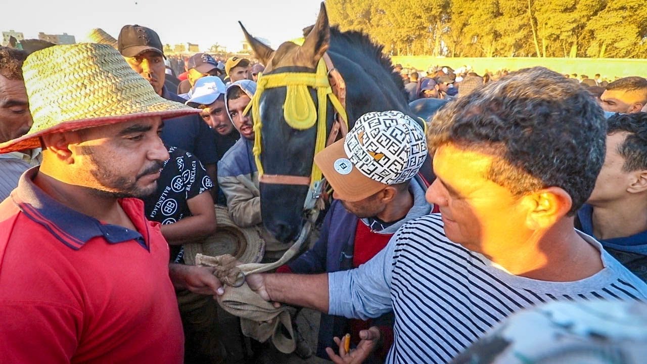 نايضة روينة على جدع دهم راس السوق اليوم فالسوق الثلاثاء الخميسات تباع ب 4 ملايين