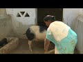04 मई 2018 कृषि  एवं पशुपालन से संमृद्धि (वृतचित्र)