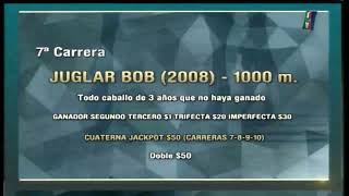 Carr. 7 Premio: JUGLAR BOB (2008) 30-06-2022