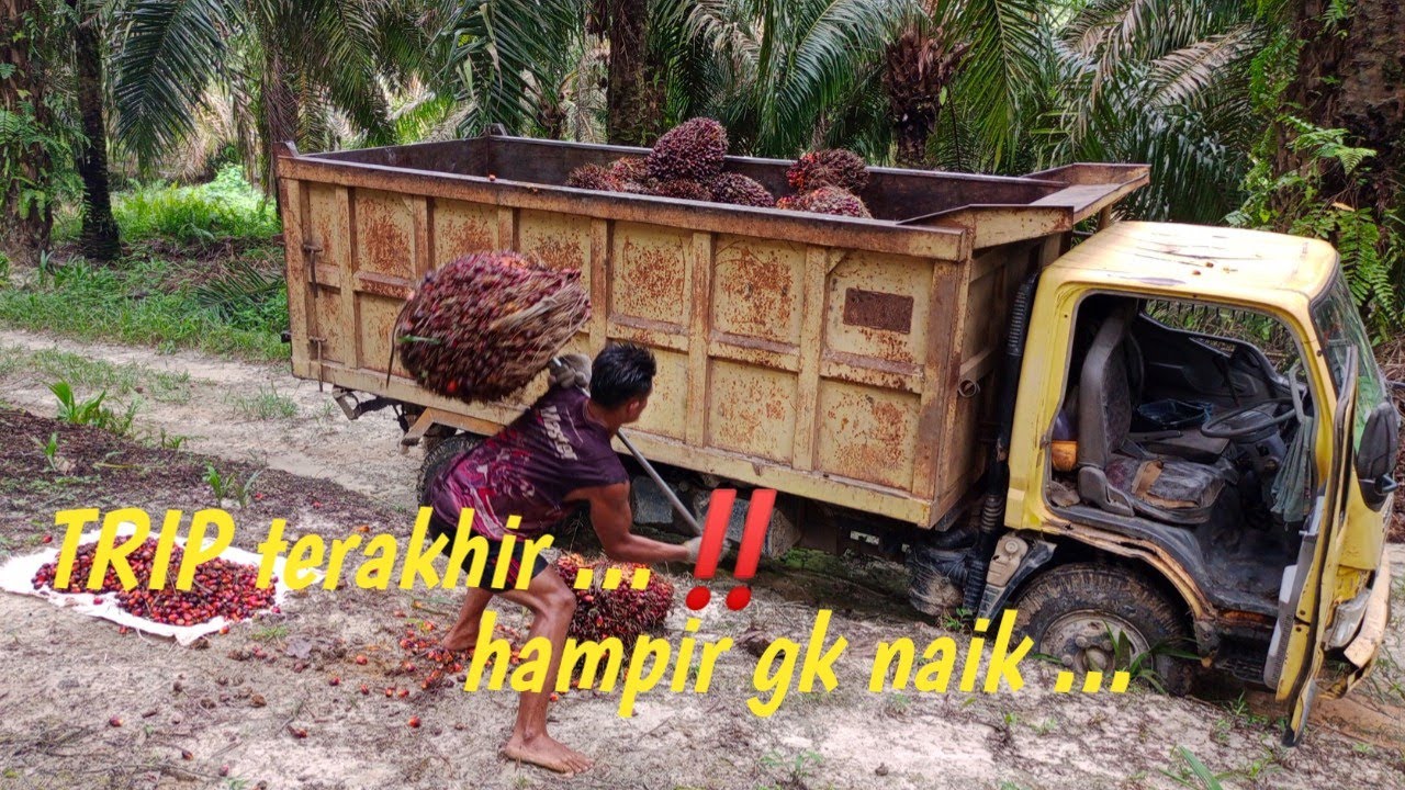 TRIP terakhir ‼️hampir gk naik...