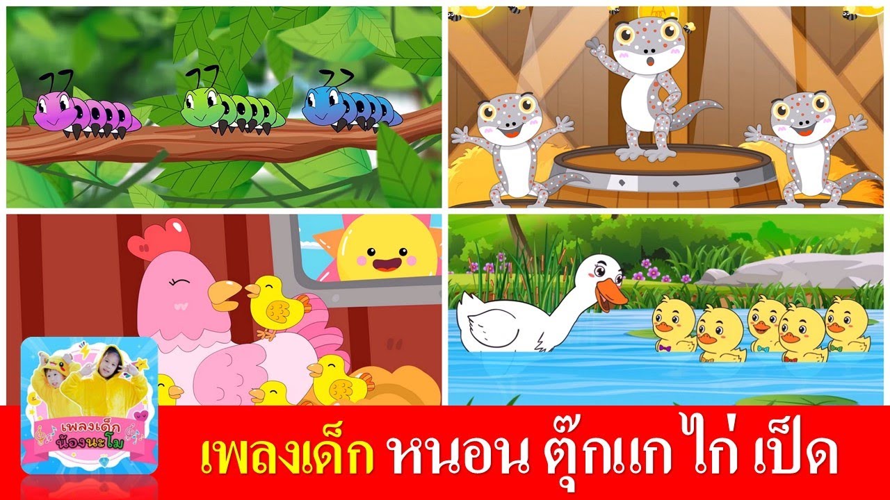 หนอนตุ๊กแกไก่เป็ด