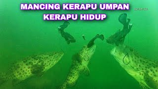 part 11 .mancing ikan kerapu  || UMPAN IKAN KERAPU HIDUP || VLOG DALAM LAUT. GAGAL STREAK.