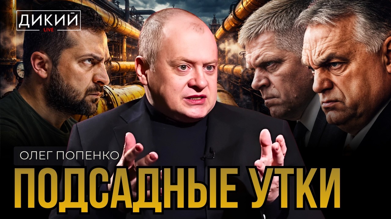 ОНИ ЗАБЕРУТ ВСЕ, ИЛИ СБИТЫЕ С КУРСА. ОЛЕГ ПОПЕНКО | ДИКИЙ LIVE