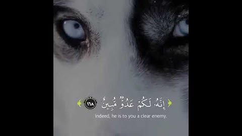قرآن كريم بصوت عمر الدريويز 🎤🔊 أجمل حالات واتس اب دينية مقاطع دينية قصيرة مقاطع انستقرام دينية