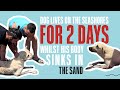 Dog lives on the seashores for 2 days whilst his body sinks in the sand