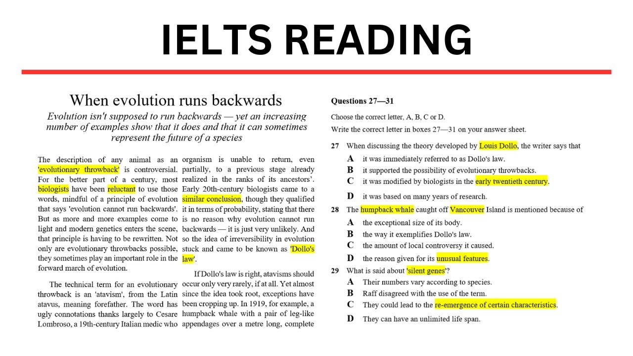 IELTS Reading Cambridge 10 Test 4 Passage 3 - YouTube