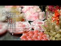 2024水陸法會 全紀錄 2024水陸法會 全紀錄