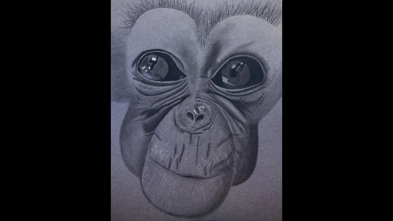 Derwent Graphic Drawing Pencils, Medium, Metal Tin, 12 Count (34214) Amazon Review