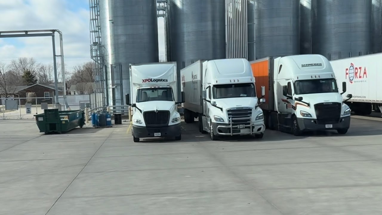 ამიშების ნახვა კარგი იქნებოდა..(დავისვენოთ ომის ფიქრებიდან..)