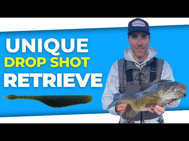 Slowly Retrieving a Drop Shot can help you catch more fish at