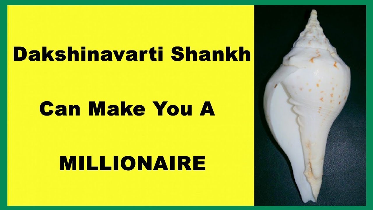 Dakshinavarti Shankh Can Make You A Millionaire I Dakshinavarti Shankh