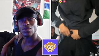 My Weirdest Monkey Experience Yet...