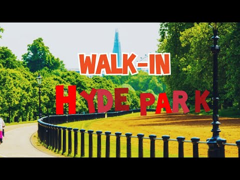 Video: Explorând cartierul Hyde Park din Austin